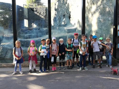 Druháci mezi slony ZOO